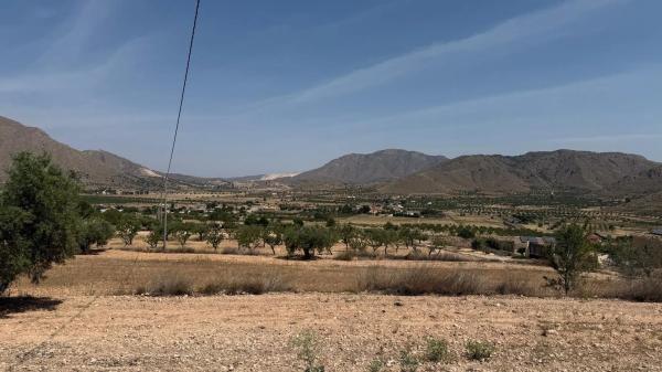 Finca rústica en Paraje Umbria