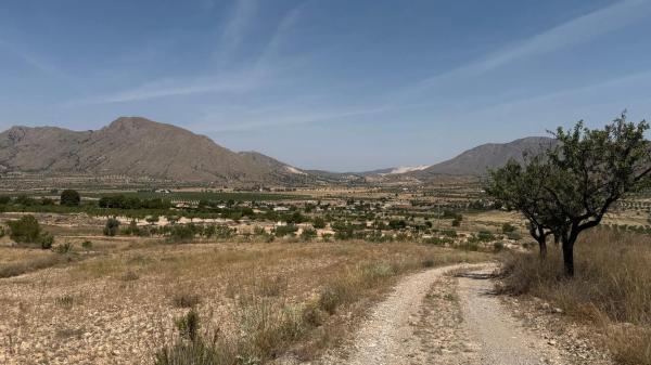 Finca rústica en Paraje Umbria