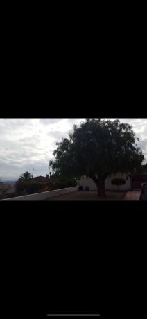 Casa independiente en calle Pinar de bonanza, 40