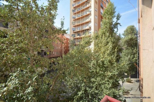 Piso en Orihuela Ciudad