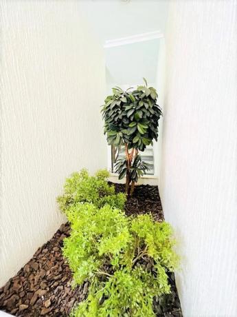 Piso en Orihuela Ciudad