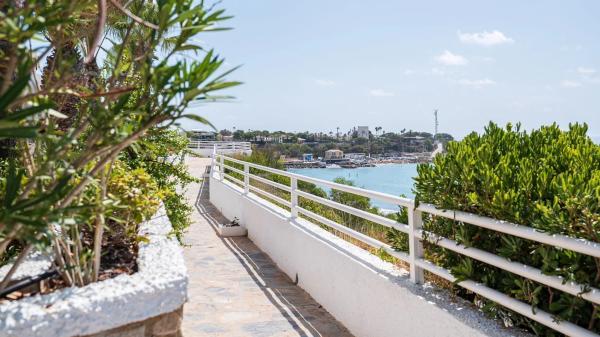 Piso en calle Ancla-cabo Roig, 244