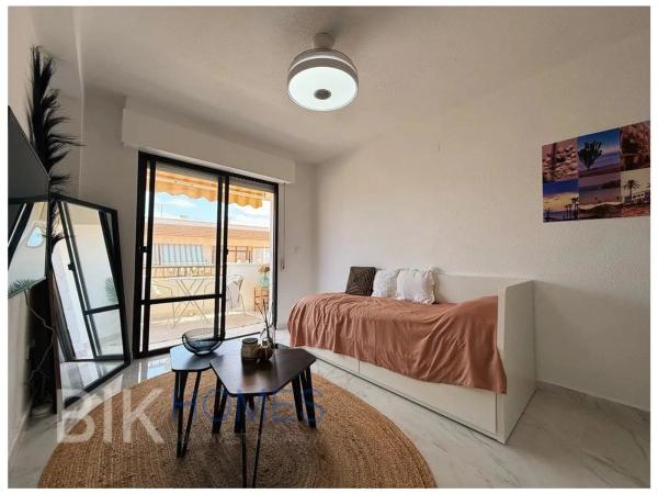 Estudio en calle Palmera Canaria