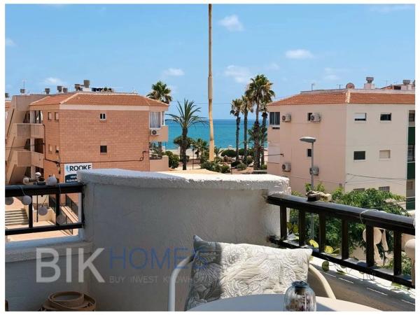 Estudio en calle Palmera Canaria