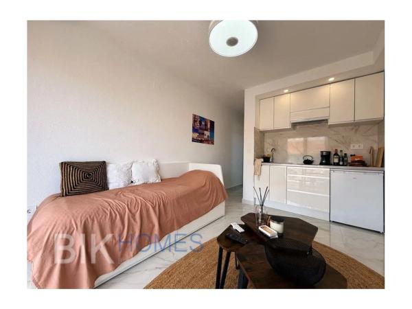 Estudio en calle Palmera Canaria