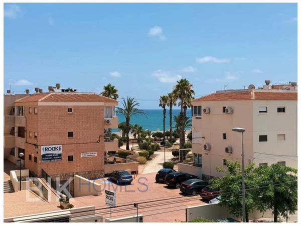 Estudio en calle Palmera Canaria