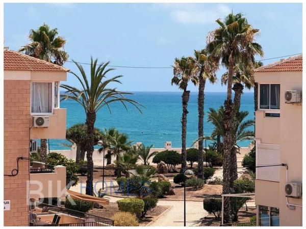 Estudio en calle Palmera Canaria