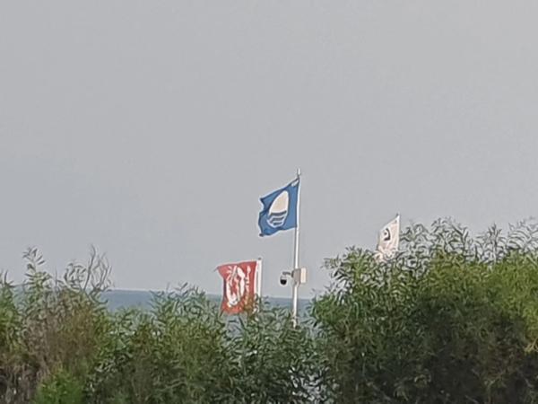 Estudio en Urbanisason Mil p Vistamar, 11