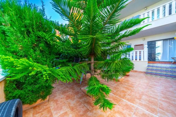 Piso en calle Castillo del Rio