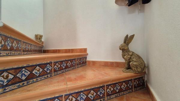 Casa independiente en calle Cabo San Antonio