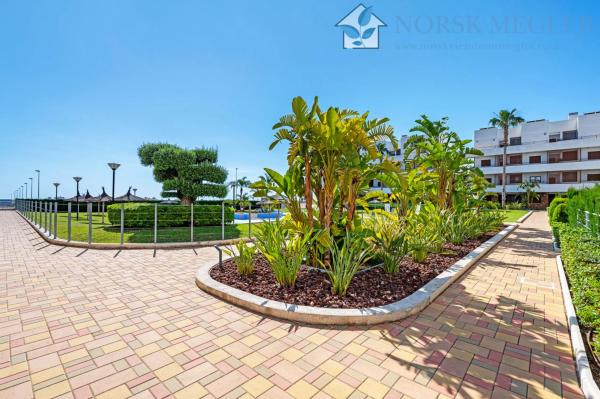 Piso en Urbanización Lomas de Cabo Roig, 1