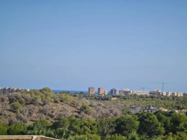 Chalet en calle Rio Segura, 436