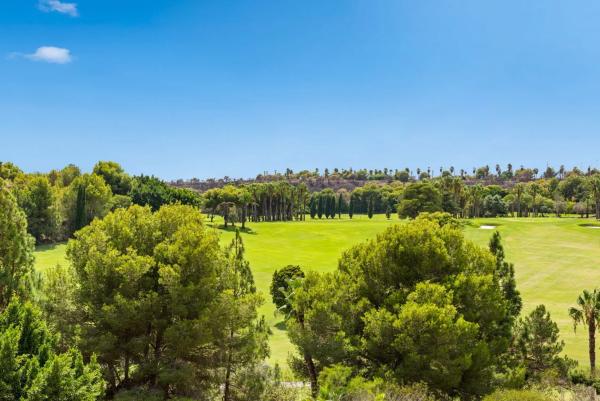 Ático en avenida Conde de Barcelona, 12