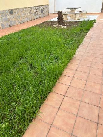 Dúplex en calle de las Golondrinas