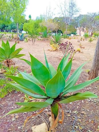 Ático en calle Osa Menor