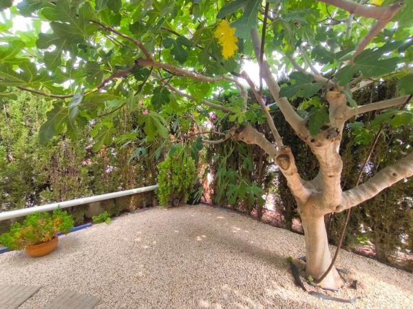 Casa independiente en calle Luis Gordillo
