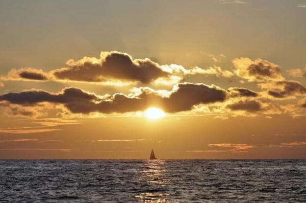 Chalet adosado en playa flamenca s/n