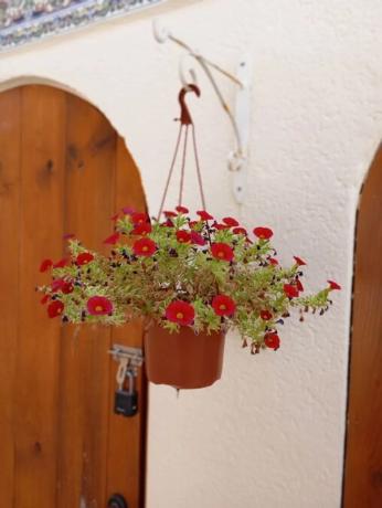 Chalet en calle Daimiel