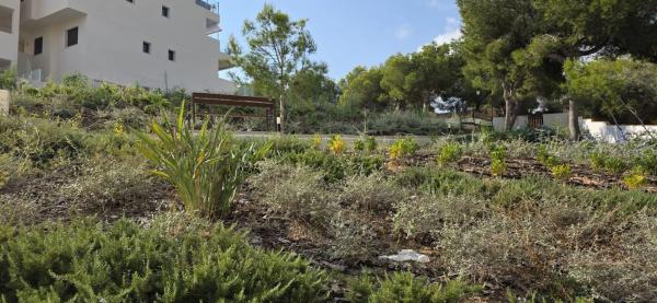 Piso en calle Trevinca, 16