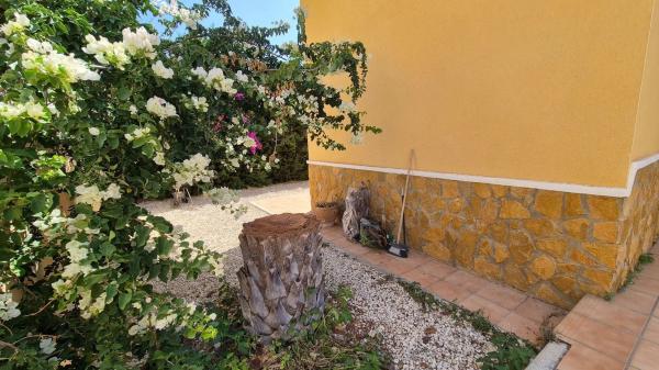 Casa independiente en calle la Dolores