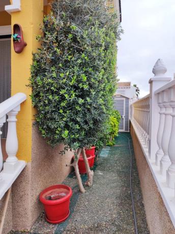 Chalet adosado en calle República Dominicana, 6