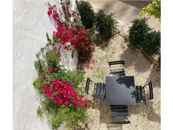 Casa independiente en calle la Sèquia