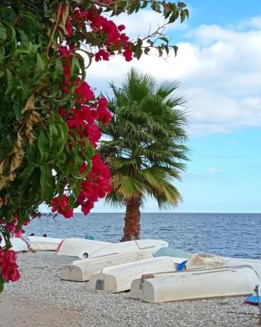 Ático en Puerto Deportivo Luis Campomanes, 3