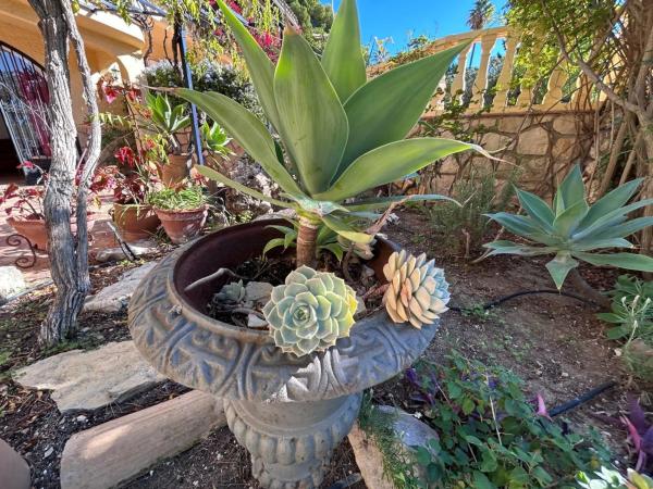 Casa independiente en calle Rosa