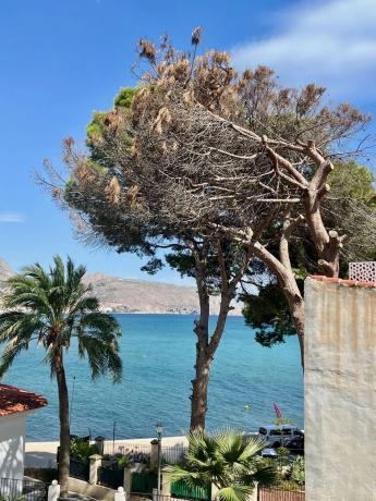 Piso en Cap-negret, 60