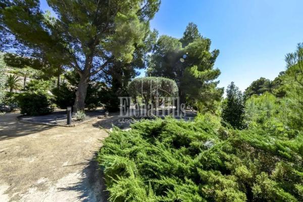 Piso en calle Berlín s/n