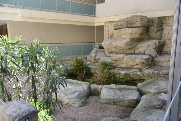 Piso en calle Currica s/n