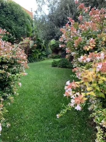 Casa independiente en carretera de Callosa
