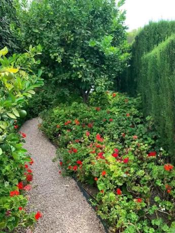 Casa independiente en carretera de Callosa