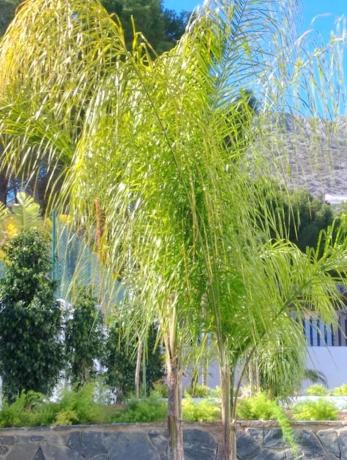 Chalet en Altea la Vella