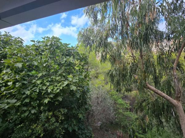 Casa independiente en calle Erica