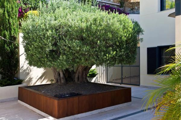 Casa independiente en calle Costa del Azahar, 30