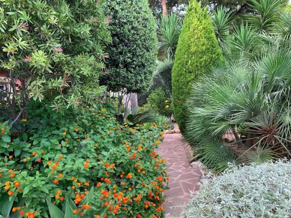 Casa independiente en CL Guatla La-g.Palmeras