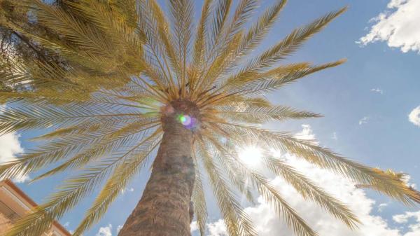 Chalet adosado en avenida Europa