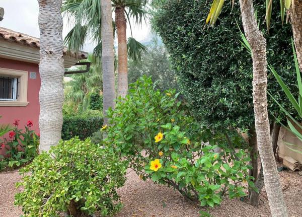 Casa independiente en calle la Guatla