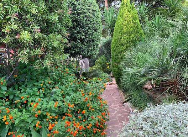 Casa independiente en calle la Guatla