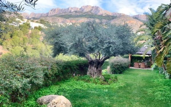 Casa independiente en calle la Guatla