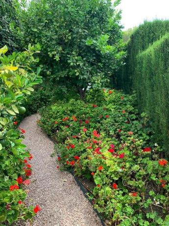 Casa independiente en calle la Guatla