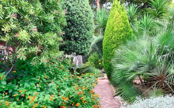 Casa independiente en calle la Guatla