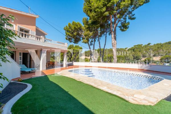 Casa independiente en CL Perdiu La-g.Baja