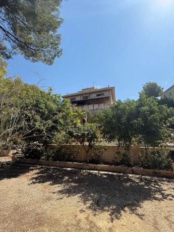 Casa independiente en calle el Pinar s/n