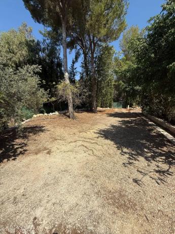 Casa independiente en calle el Pinar s/n