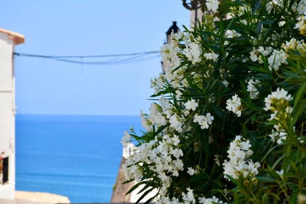 Chalet adosado en calle Sant Josep, 14