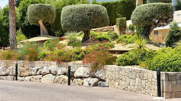 Piso en calle Alemania