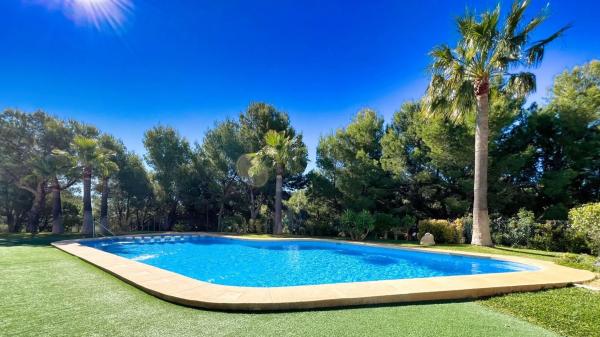 Piso en avenida Principal de la Sierra