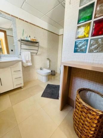 Casa independiente en calle el Pinar s/n